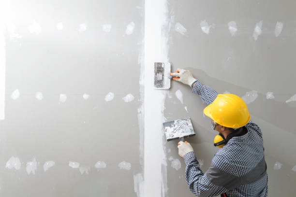 Best Post-Remediation Verification Testing  in Temelec, CA