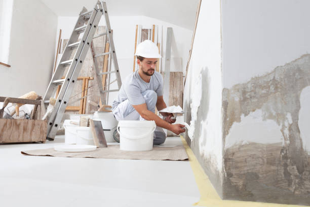  Temelec, CA Mold Removal Pros
