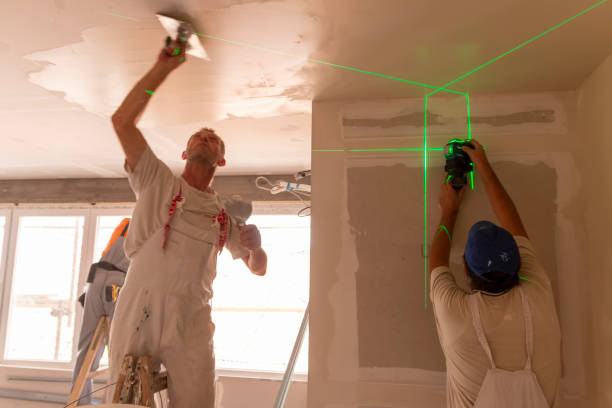Biohazard Mold Removal in Temelec, CA