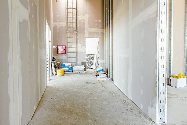 Best Post-Construction Mold Inspection  in Temelec, CA